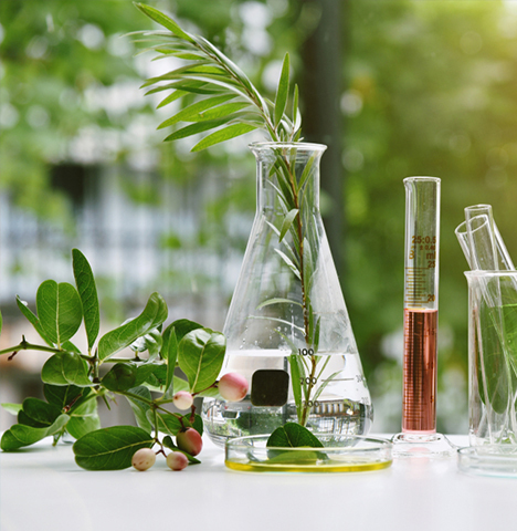 Glass & Ceramic Industry