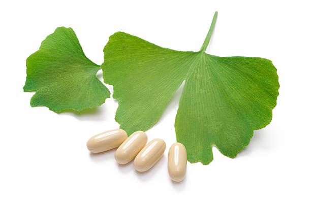 Ginkgo Biloba Extract Powder: Standardized Plant Essence, Empowering Brain, Cognitive & Cardiovascular Health Products